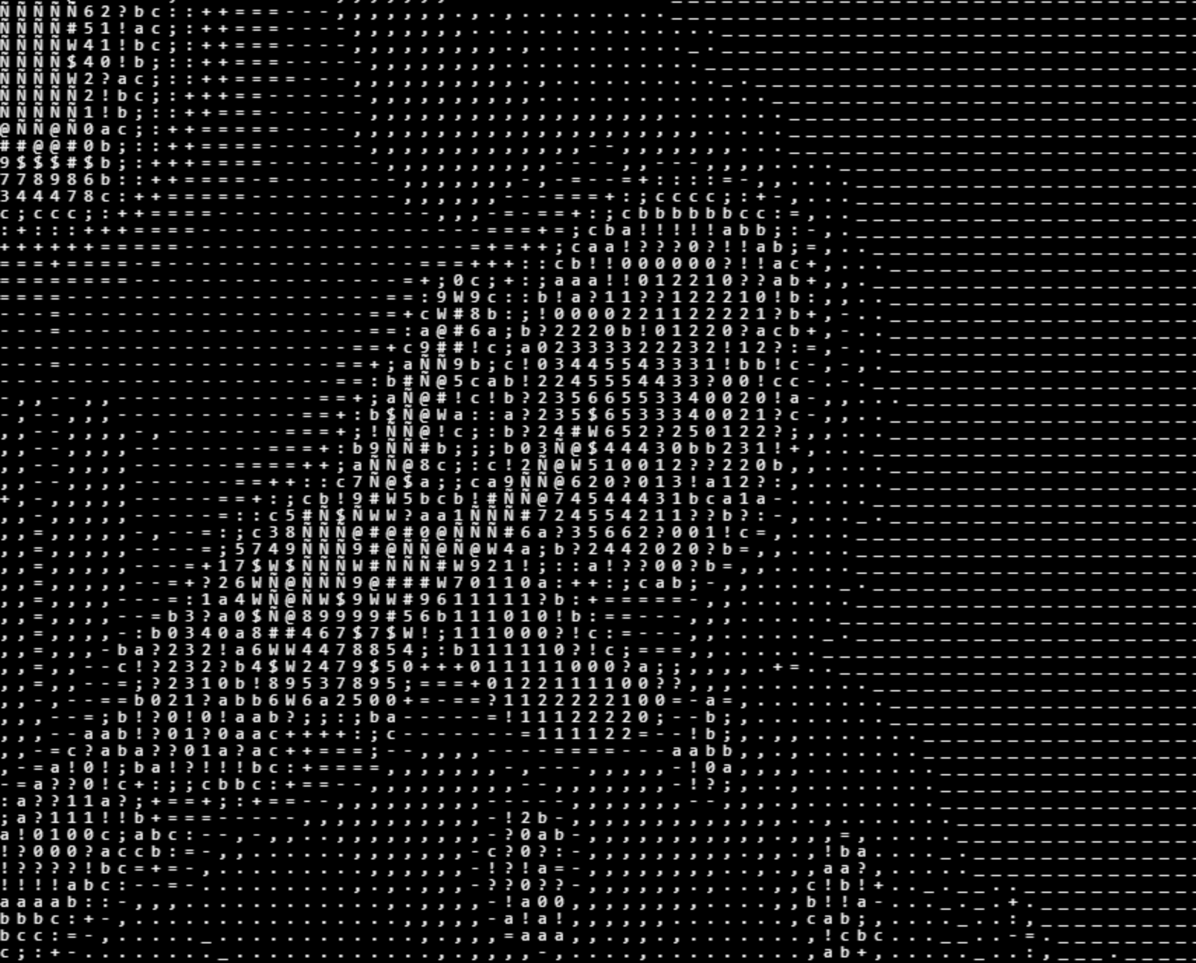 ASCII CAMERA